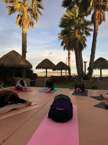 Apéro dégustation d’huîtres, Yoga & Cosmétiques (23 Juin)