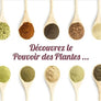 Atelier Coloration végétale & Poudres ayurvédiques, shampooing solide avec BBE (23 Fev)
