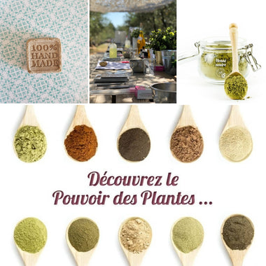 Atelier Coloration végétale & Poudres ayurvédiques, shampooing solide avec BBE (23 Fev)