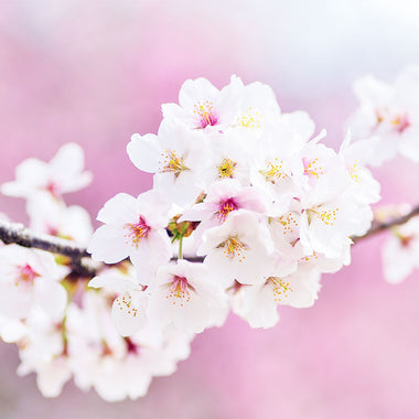 Formule 2h30 - 2 produits