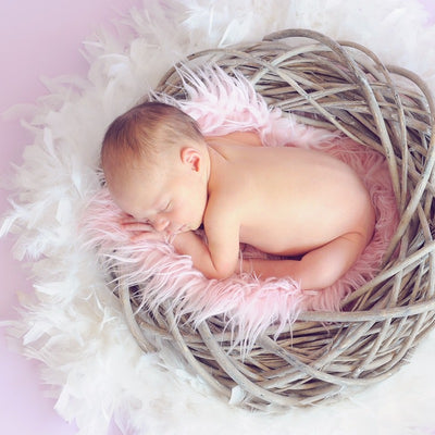 Atelier des Bébés en partenariat avec Palma (27 Octobre...)